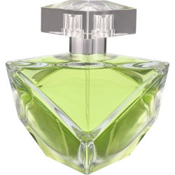 Britney Spears Believe For Women Eau De Parfum 100ML Britney Spears Believe For Women Eau De Parfum 100ML