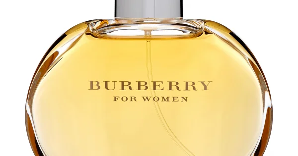 Burberry For Women Eau De Parfum 100ML 3386460090018