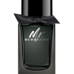 Burberry Mr Burberry For Men Eau De Parfum 100ML Burberry Mr Burberry For Men Eau De Parfum 100ML