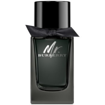 Burberry Mr Burberry For Men Eau De Parfum 100ML Burberry Mr Burberry For Men Eau De Parfum 100ML