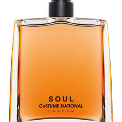 Costume National Soul for Unisex Eau De Parfum 100ml Costume National Soul for Unisex Eau De Parfum 100ml