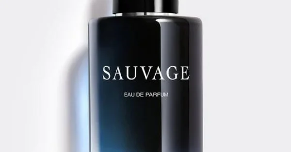 Dior Sauvage EDP 100ML - 3348901368247