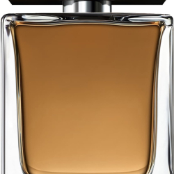 Dolce&Gabbana The One For Men Eau De Toilette 100ML Dolce&Gabbana The One For Men Eau De Toilette 100ML
