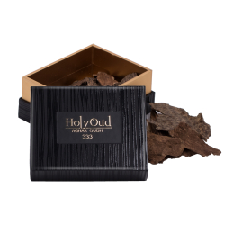 Holy Oud Aghar Oud 333 24GM