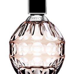 Jimmy Choo For Women Eau De Parfum 100ML