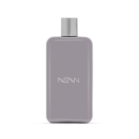 NGW Silver Eau De Parfum 100ML For Men & Women