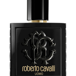 Roberto Cavalli Uomo M EDT 100ML Roberto Cavalli Uomo M EDT 100ML