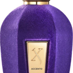Xerjoff Accento for unisex Eau De Parfum 100ML Xerjoff Accento for unisex Eau De Parfum 100ML